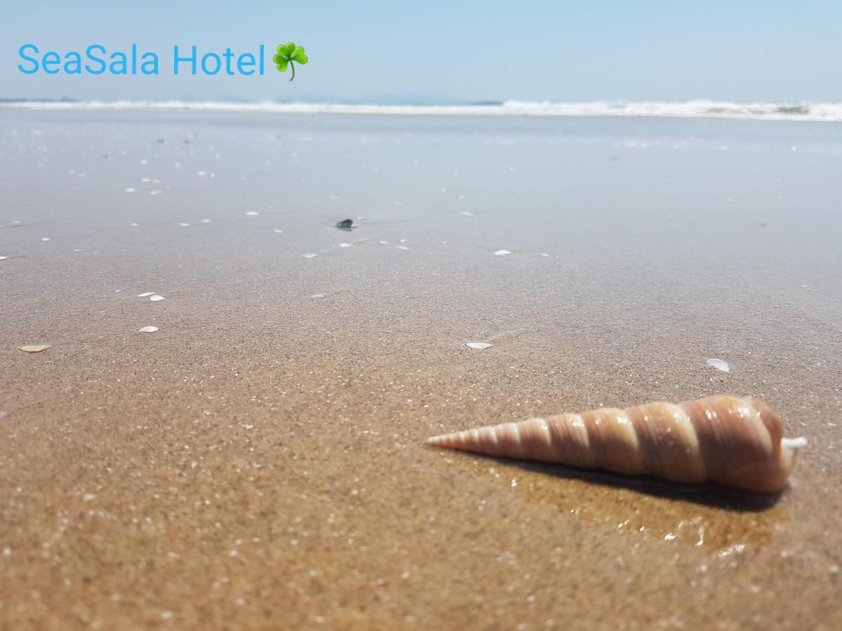 Seasala Hotel Vung Tau Buitenkant foto